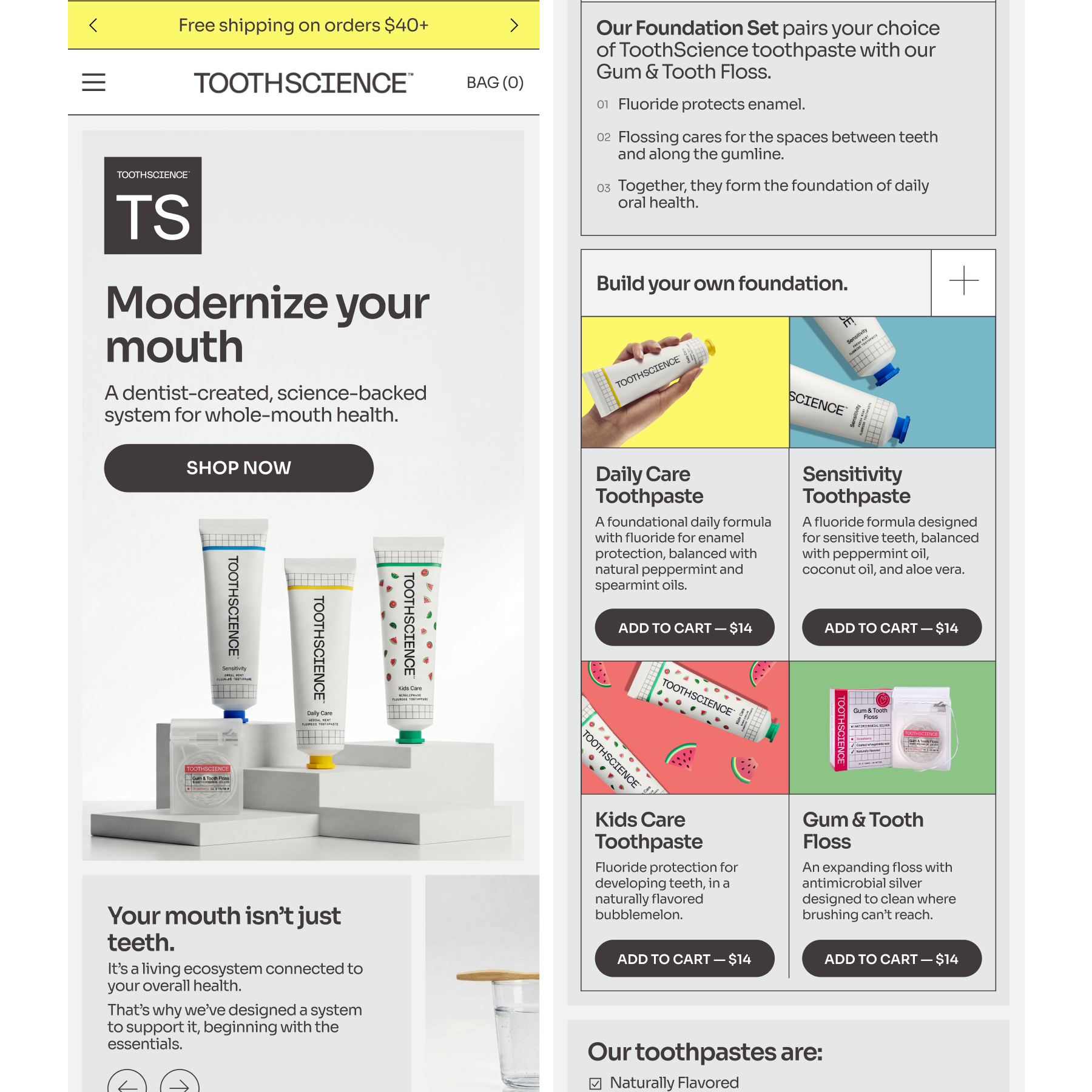ToothScience project frame 10